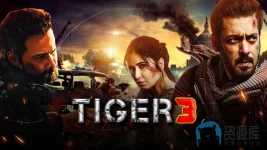 猛虎31a.webp 猛虎31a.webp