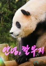 再见，福宝1ba.webp
