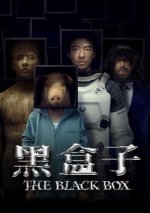 黑盒子1aa.jpg