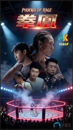 拳凰1aa.webp