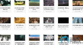 傲游截图20260501140039.webp